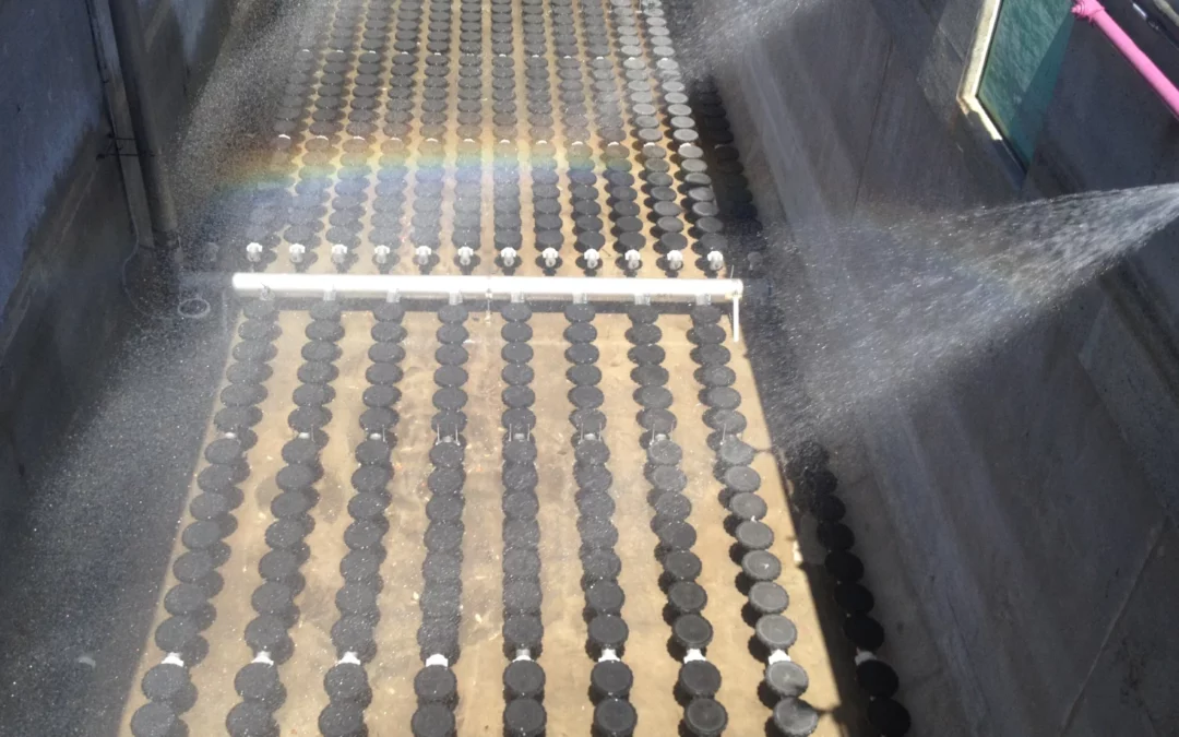 High Efficiency Diffusers vs. Surface Aerators