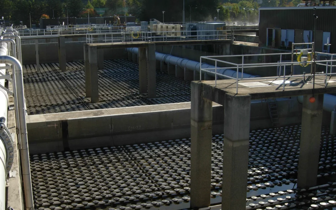Field Performance of Fine and Ultra Fine Bubble Diffusers